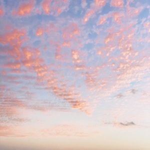 Meet your Posher, Allie